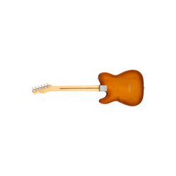 Guitarra Eléctrica Fender American Performer Telecaster, Rosewood, Honey Burst