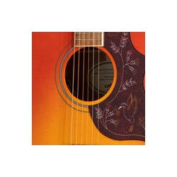 Guitarra Electroacústica Epiphone Hummingbird Studio