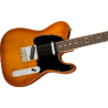 Guitarra Eléctrica Fender American Performer Telecaster, Rosewood, Honey Burst